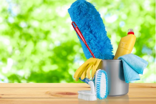 Professional carpet cleaning service in an Edgware home