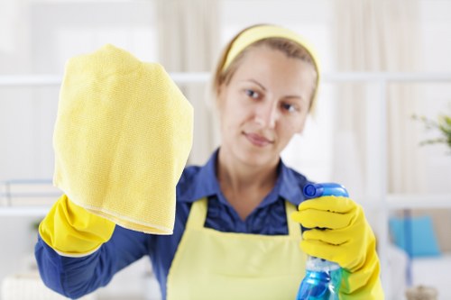 Professional oven cleaning service for homes in Edgware