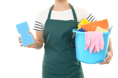 Professional window cleaning for a home in Edgware
