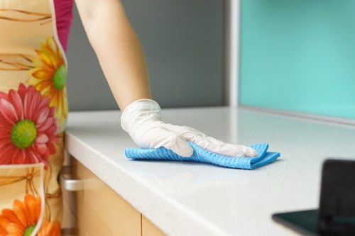 Oven cleaning team in Edgware with recyclable cleaning materials