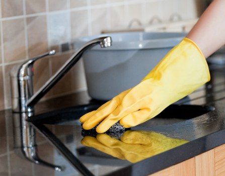 Oven cleaning service terms and conditions introduction