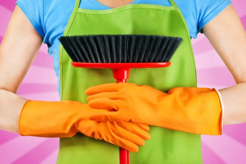 Professional carpet cleaning for a home in Edgware