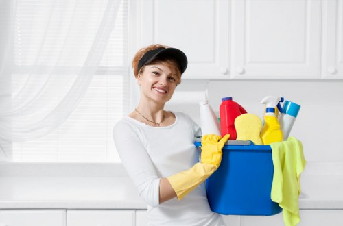 Detailed cleaning of oven glass and seals