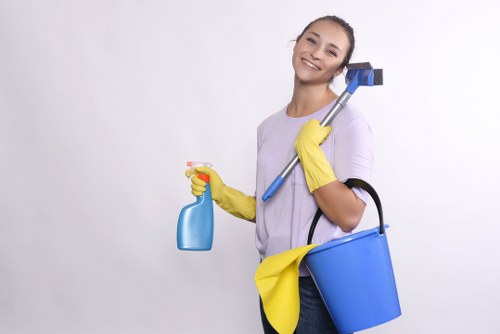 Kitchen and bathroom domestic cleaning service in Edgware