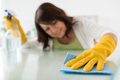 Checklist and cleaning equipment used for deep cleaning in Edgware