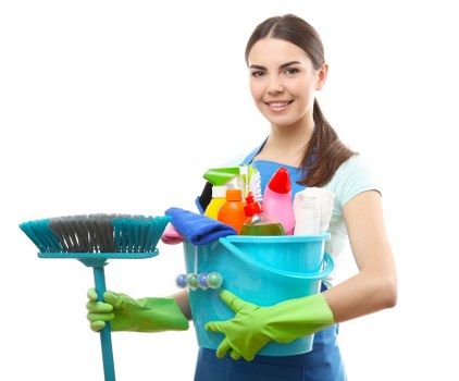 Deep carpet cleaning equipment used in an Edgware property