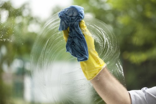 Oven door glass and interior cleaning in Edgware