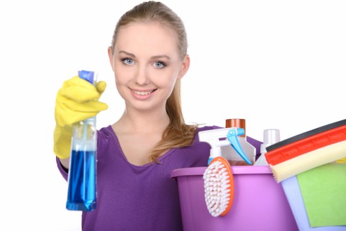 Domestic cleaning service for a flat in Edgware